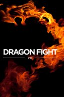 Dragon Fight