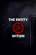 The Entity Within YouTube Views and Videos