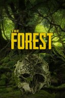 The Forest