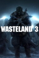 Wasteland 3