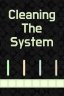 Cleaning The System
