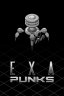 Exapunks