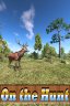 On the Hunt