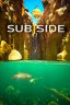 Subside