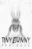 Tiny Bunny
