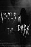 Voices in the Dark