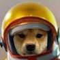 Doge With Helmet