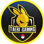 TaeBi Gaming