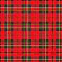 TheTartanTribe