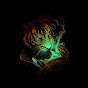 Tigr86