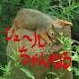シュールちゃんねる