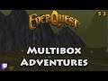 Everquest Live! - Multibox Adventures - 53 - Direwind Cliffs