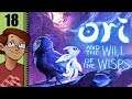 Let's Play Ori and the Will of the Wisps Part 18 - Sela Flowers