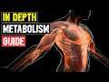 Scum - Complete Metabolism Guide - In Depth Tutorial