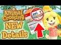 File Size, amiibo, & the Multiplayer Plane Revealed for Animal Crossing: New Horizons!