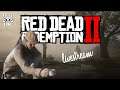 Red Dead Redemption II Online | RDR2 Online Stranger Missions | Red Dead Online PS4 livestream