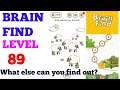 Brain find level 89 solution or walkthrough