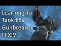 Learning To Tank E5s - FFXIV