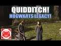 Hogwarts Legacy - 5 Features The Game Needs!