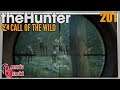 The Hunter Call of the Wild ★ MaultierHirsche in Patagonien [201] Let's Play Deutsch