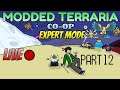 Balls.exe | Terraria Expert Mode Modded Co-Op LIVE!!!!! Part 12