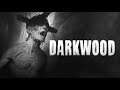 Darkwood [1] RESPECT THE WOODS