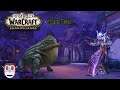 Let's Play World of Warcraft: SL Nachtgeborener Krieger 50-60 [Deutsch] #39 Tirna Noch