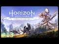 Let's Play Horizon Zero Dawn Complete Edition #13 | Deutsch / German | Streamstag 02.11.2021