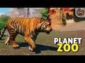 MANSÃO indiana para os TIGRES | Planet Zoo #12 - Sandbox Gameplay PT-BR