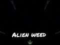 420 Comic Strip Johnny Smoke Alien weed