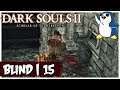 Dark Souls 2: Scholar of the First Sin - Shaded Woods - Old Akelarre (Blind / PC)