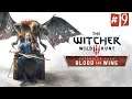The Witcher 3 DLC Blood and Wine [#9] - Ганза Лота Полуэльфа