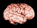 Using my Ginormous Brain to Solve Extremely Complex Puzzles | Boneworks #4