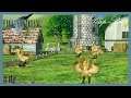 (FR) Final Fantasy VII HD #11 : La Ferme A Chocobos