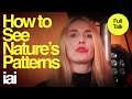 How to See Nature's Patterns | Anna Murray