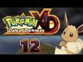 Pokemon XD Gale of Darkness Part 12: News Room Takeover