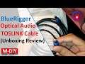 BlueRigger Optical Audio TOSLINK Cable | Digital Audio Cable (Unboxing Review) [Hindi]