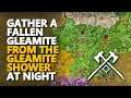 Gather a fallen Gleamite from the Gleamite Shower at night New World