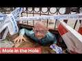 Hole Under Sidewalk Goes Viral - "The Hole Community"