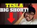 Is Tesla Stock The Next Big Short? TSLA Stock Price Down Michael Burry