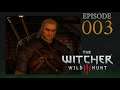 003  - Arjade Plays Witcher 3 - Barkeep Get Me A Witch