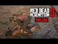 Every Man For Himself  : Red Dead Redemption 2 Online Walkthrough : RDR2 Online Gameplay (PS4)