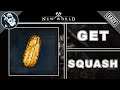 How to Get Squash in New World | Cooking Crafting Recipes Guide