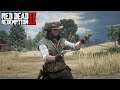 RDR2 100th Day Final part, no mini map | Story mode | No online games  | Live stream | PS4