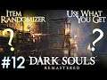 Dark Souls | Use What You Get + Item Randomizer #12