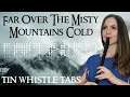 THE MISTY MOUNTAINS COLD - TIN WHISTLE TABS TUTORIAL (+ COLLABORATION)