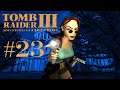 DUMME RAPTOREN - Tomb Raider 3 [#23]