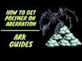 The 2 Best Methods For Polymer On Abb/ Ark Guides