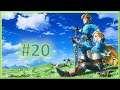 The legend of Zelda Breath of the wild [EXPERT] | Let's play FR | #20