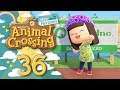 FINITA LA SECONDA CASA! - Animal Crossing New Horizons ITA #36